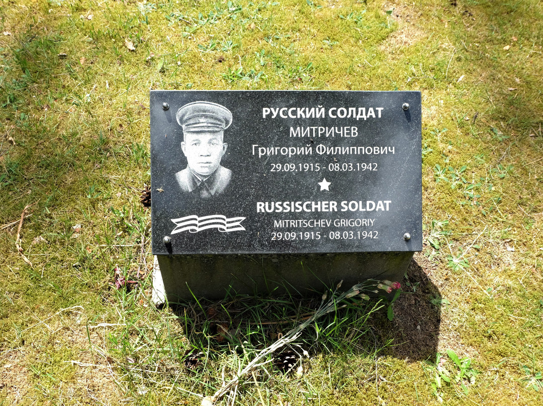 Hoersten旅游攻略图片