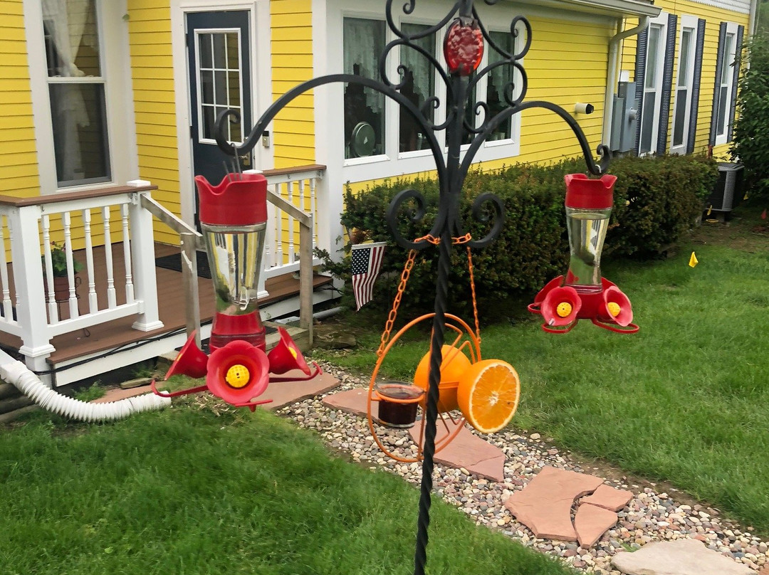 1875 Homestead Bed and Breakfast主图