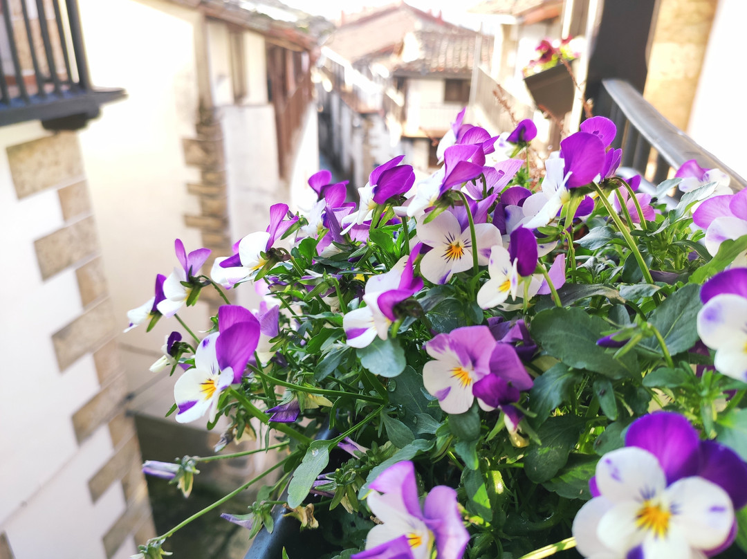 Posada de Candelario主图