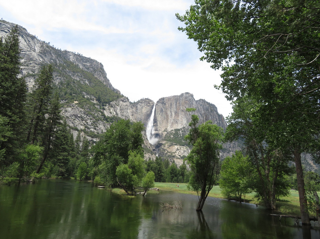 Swinging Bridge Picnic Area Yosemite National Park CA景点图片