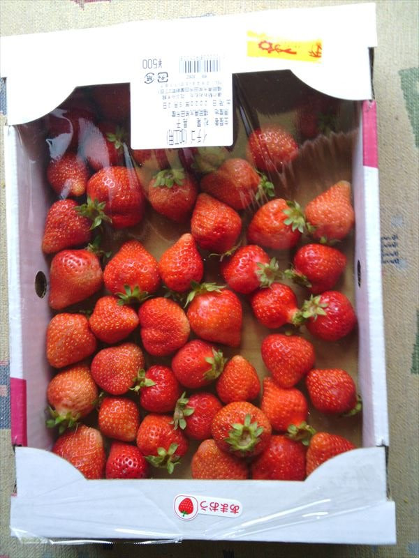 Michi-no-Eki Omuta Hanapurasu-大牟田市必去景点