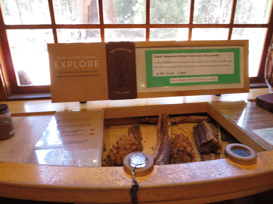 Giant Forest Museum-红杉&国王峡谷国家公园必去景点