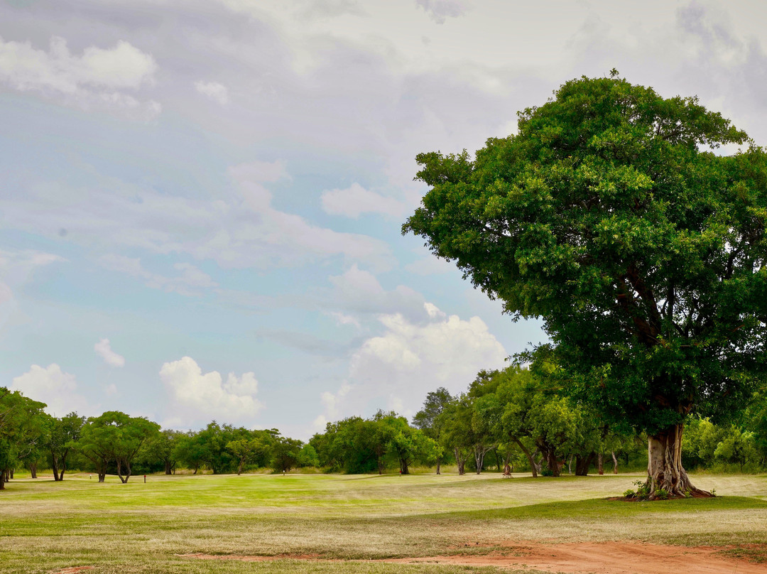 Elements Private Golf Reserve主图