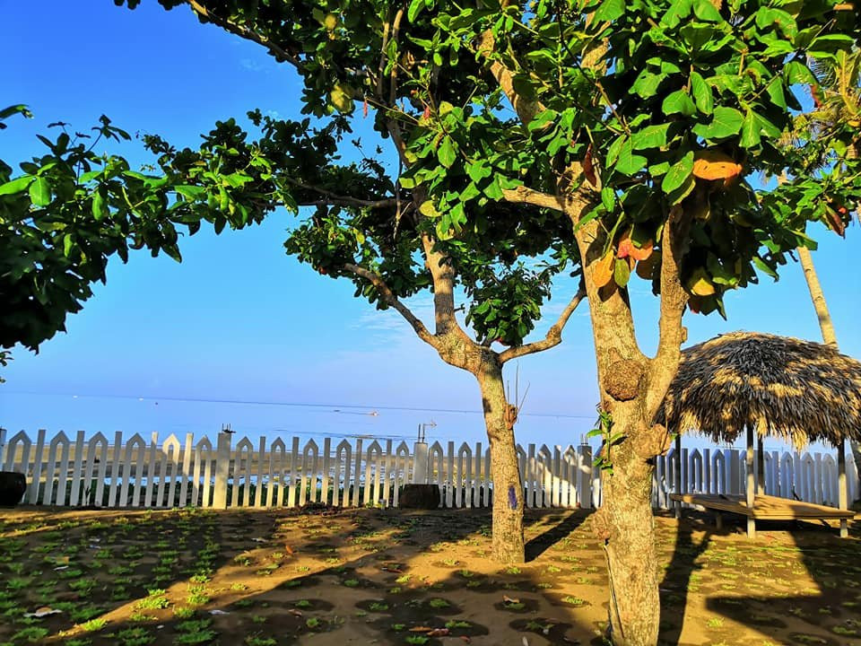 AGM海滨度假村主图