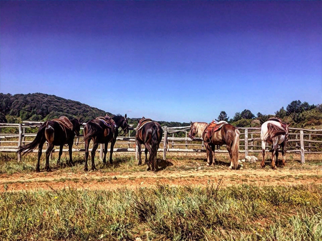 Asd Sofia’s Ranch景点图片