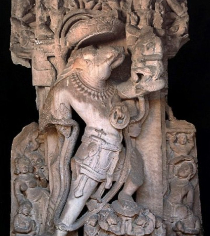 Allahabad Museum景点图片