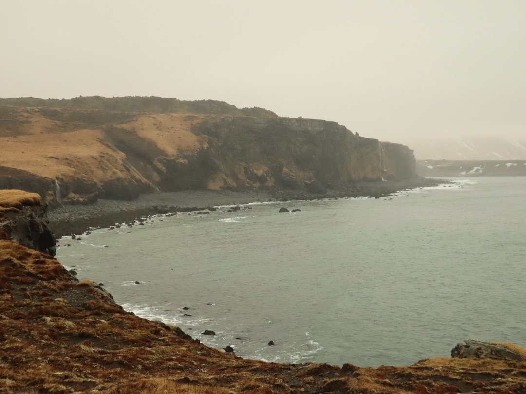 Port Arnarstapi-Arnarstapi必去景点