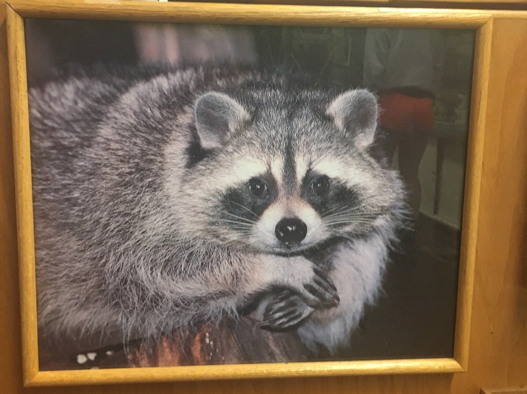 Mother Featherlegs Cemetery-Lusk必去景点