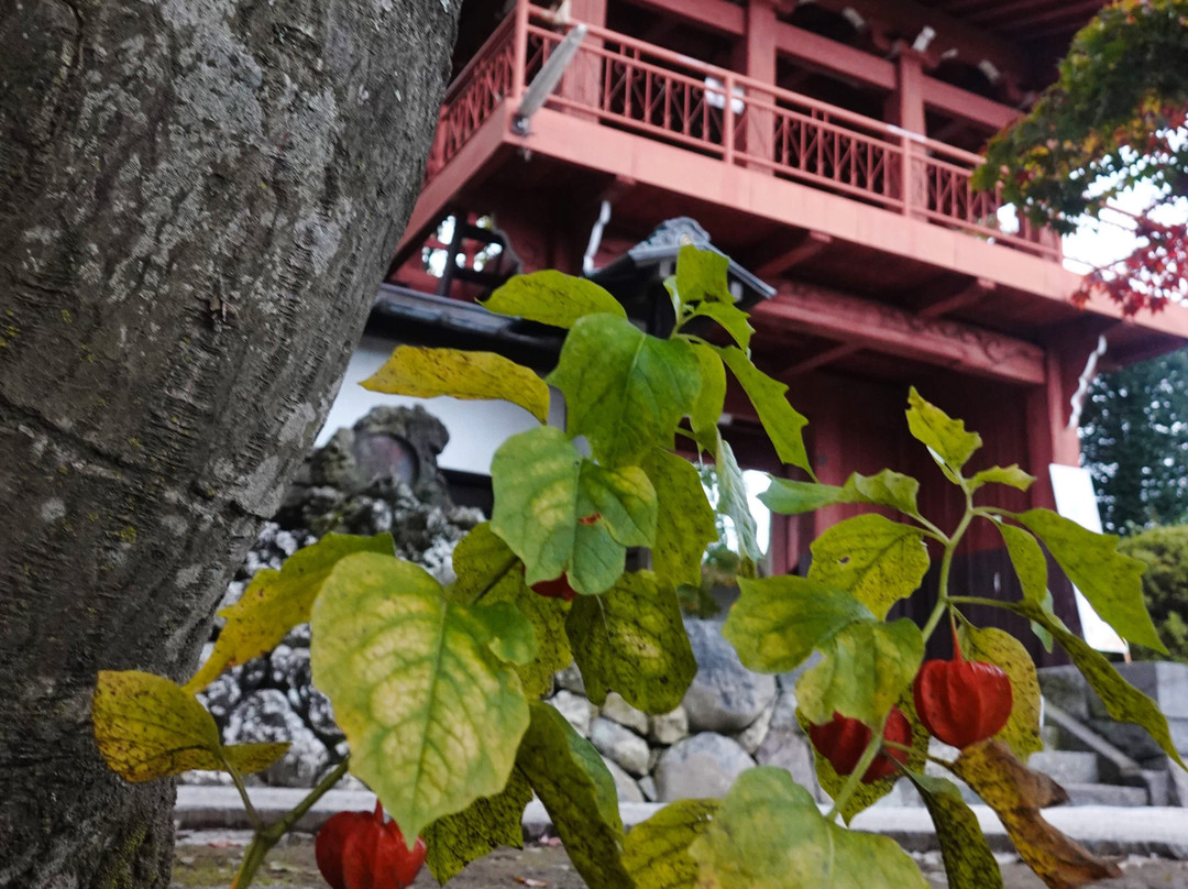 Choen-ji Temple-茅野市必去景点