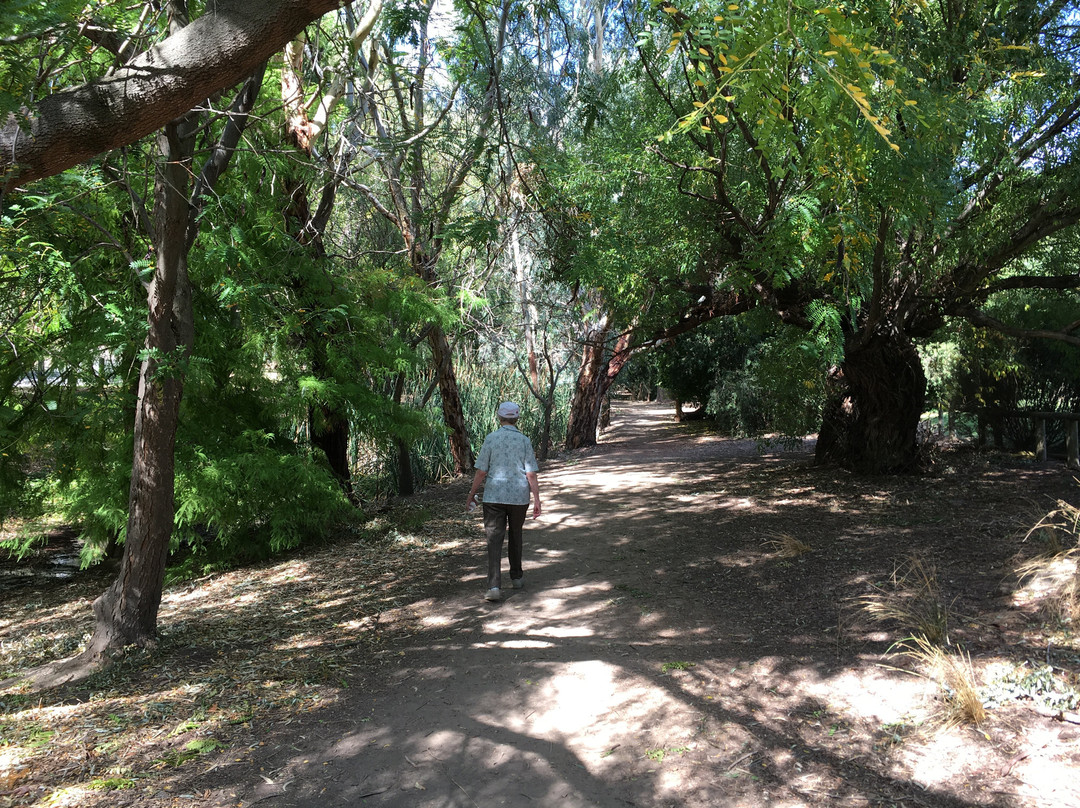 Michael Perry Botanic Reserve-Burnside必去景点