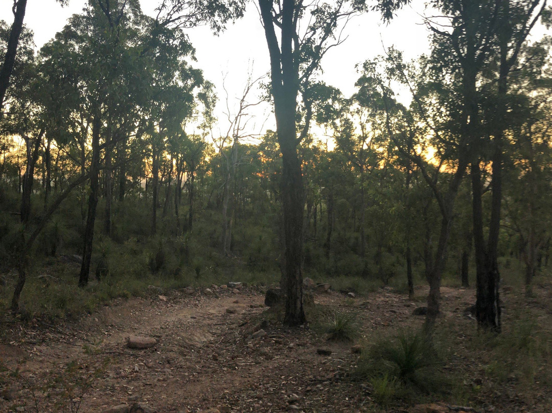 Wickham National Park景点图片