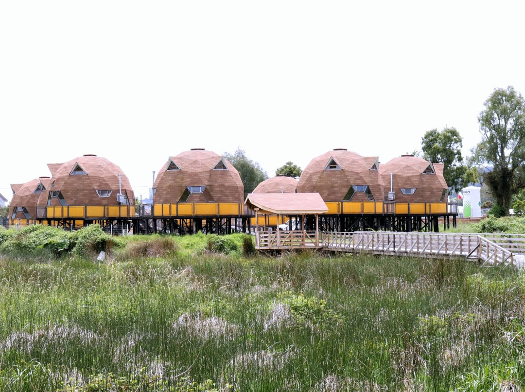 Chiloe Domos