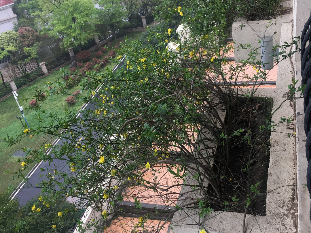 安庆碧桂园凤凰酒店主图