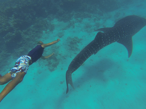 Tours Hurghada-赫尔格达必去景点