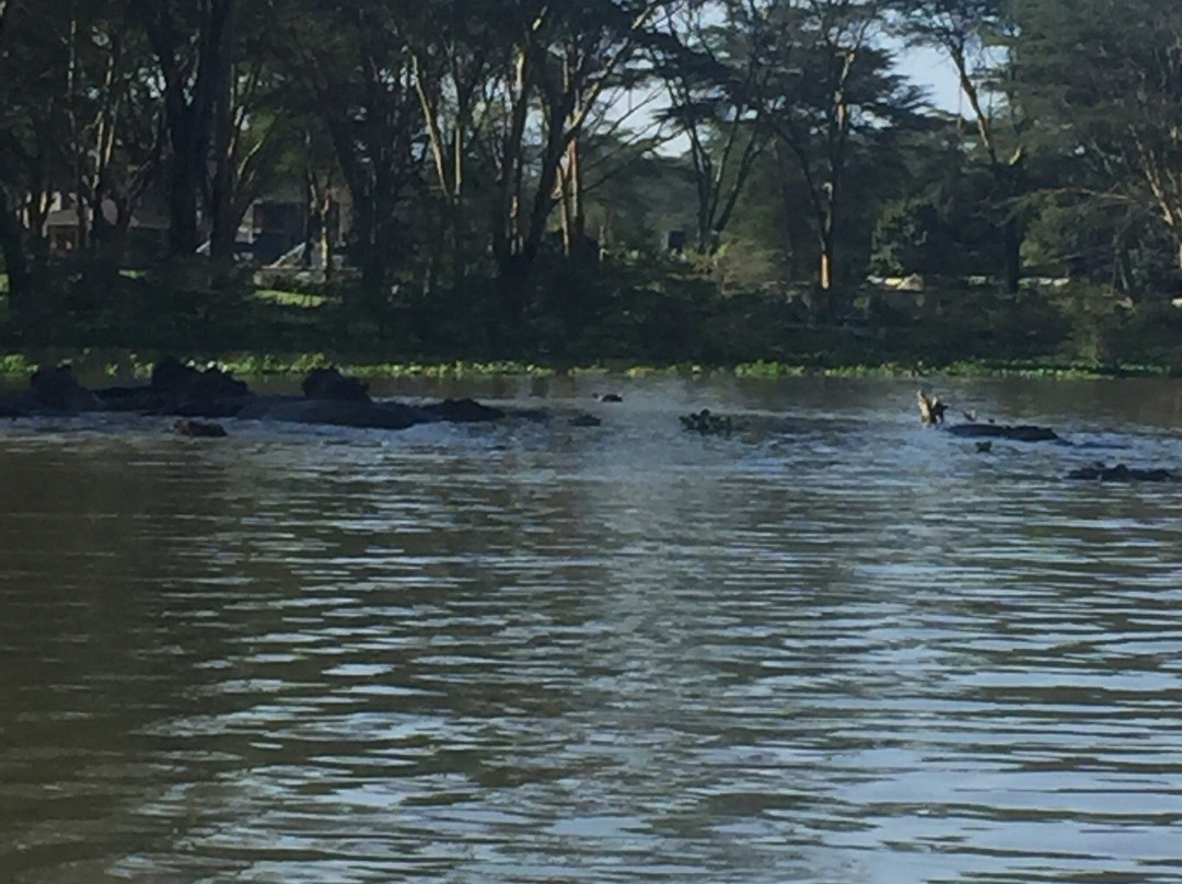 day to day Tours and safaris, Kenya-内罗毕必去景点