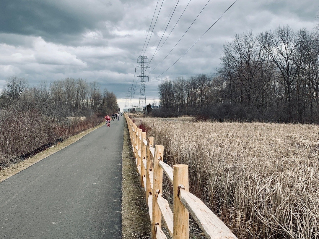 West Bloomfield Woods Nature Preserve And Nature Trail景点图片