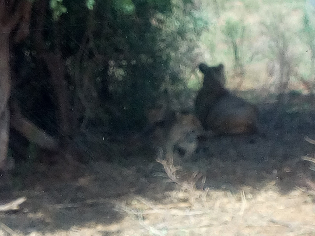 Buffalo Springs National Reserve-Buffalo Springs Game Reserve必去景点