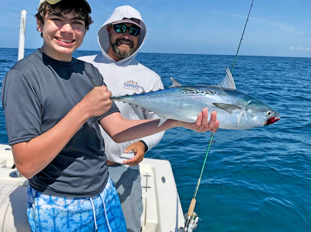 Palm Island Outfitters-Cape Haze必去景点