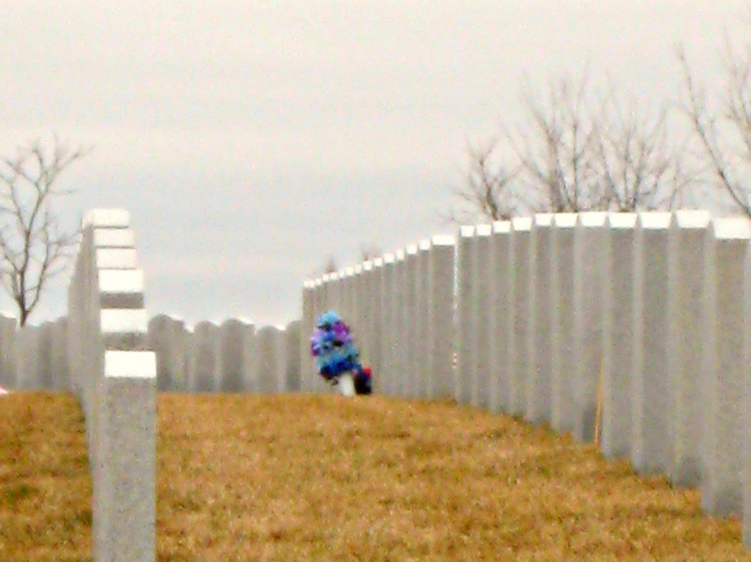 Abraham Lincoln National Cemetery景点图片