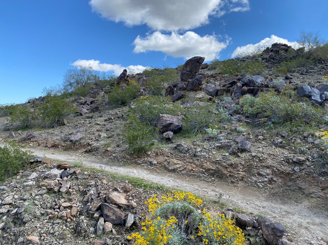 Estrella Mountain Regional Park-嘉年必去景点