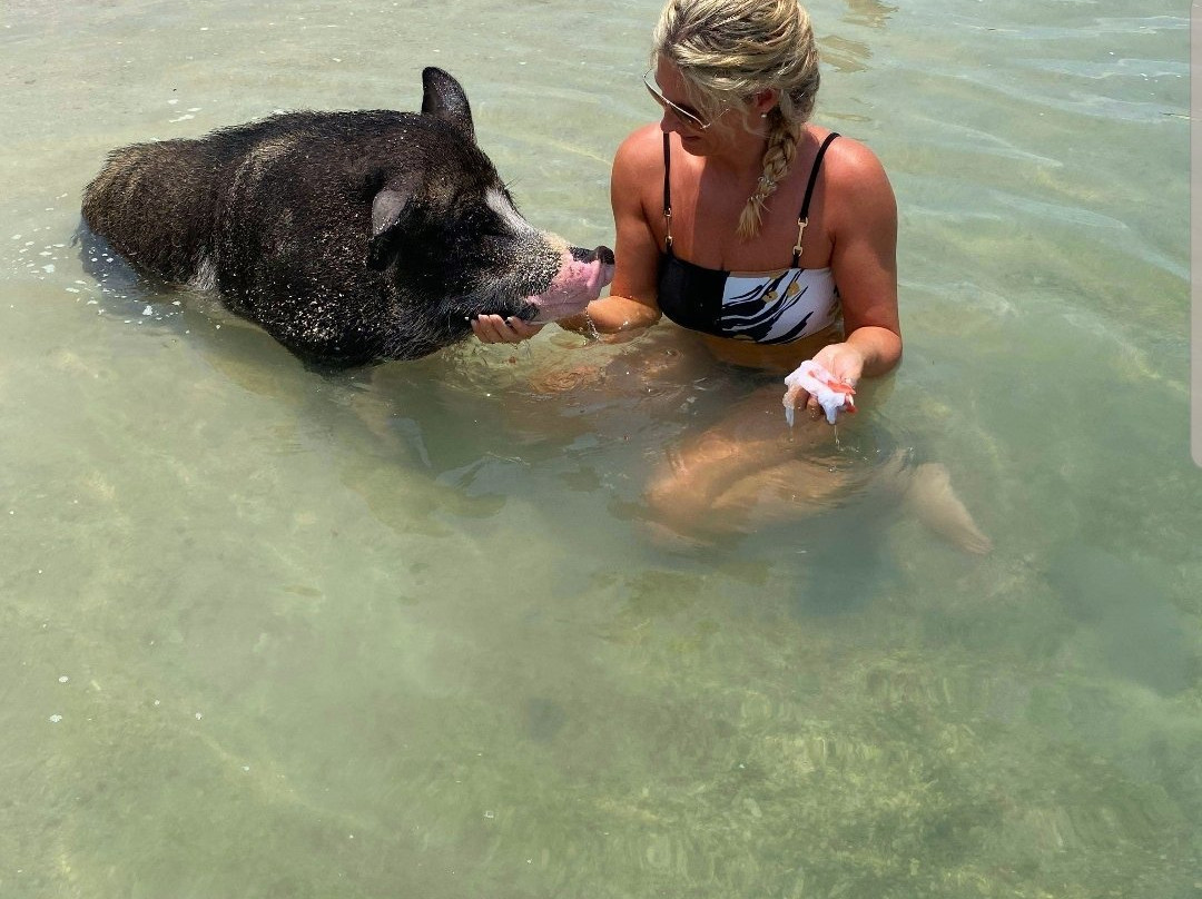 Tour Explore-马叻必去景点