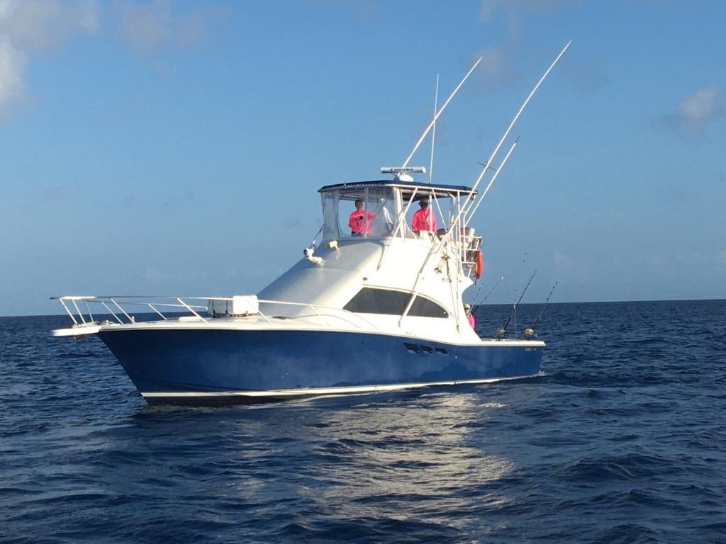 BITE ME Sport Fishing-Turtle Cove必去景点