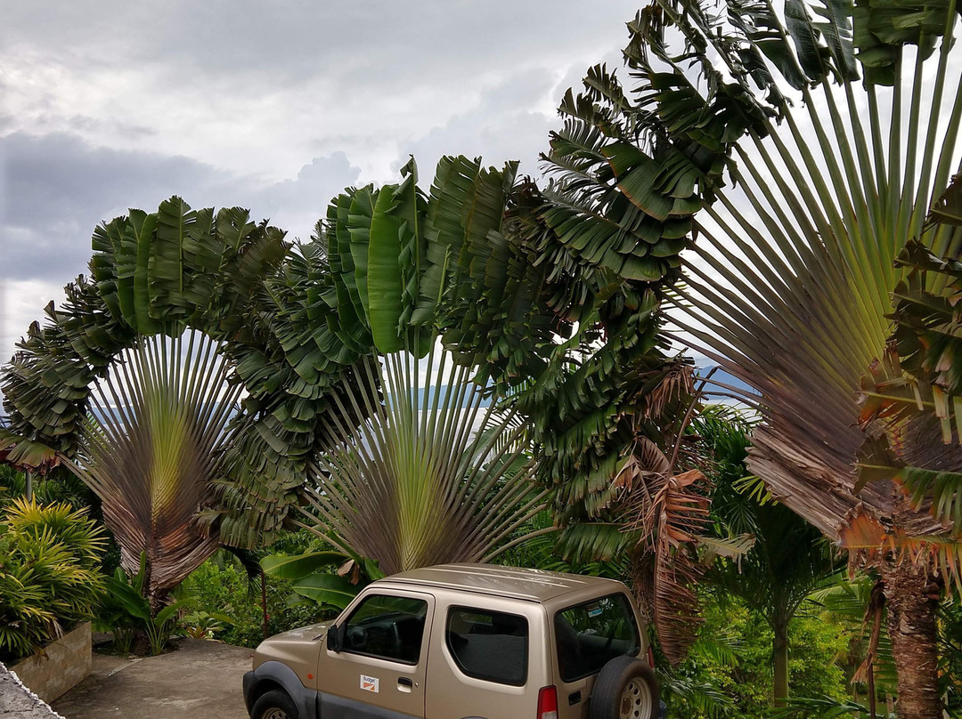 克洛维斯阳光别墅酒店主图