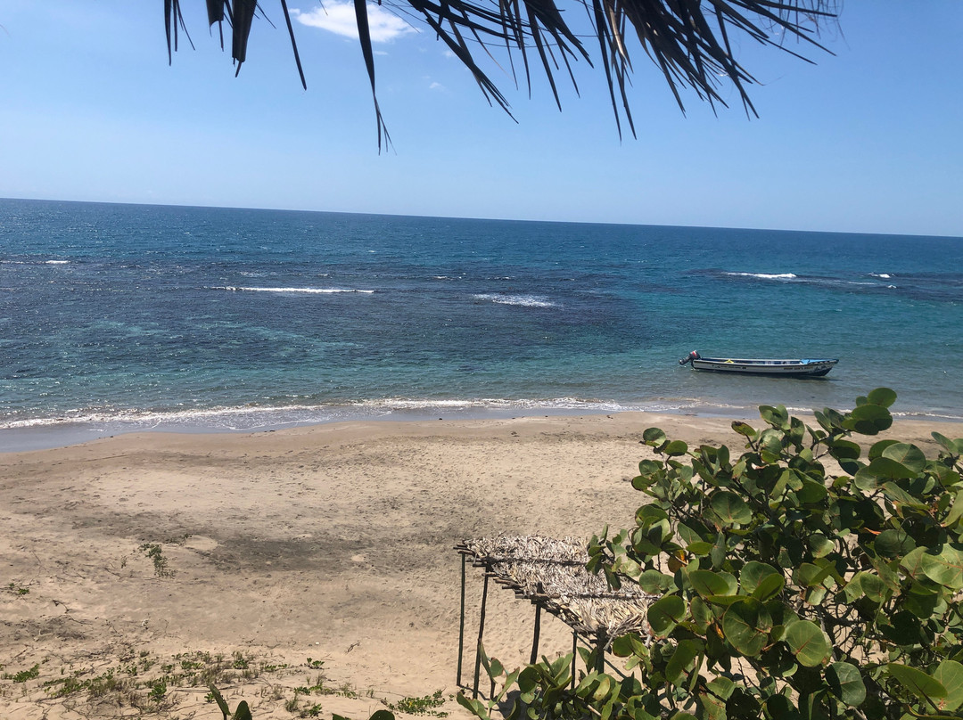 Captain Joseph Treasure Beach Adventures景点图片