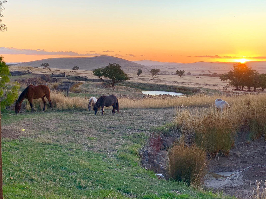 Tuki Trout Farm-Smeaton必去景点
