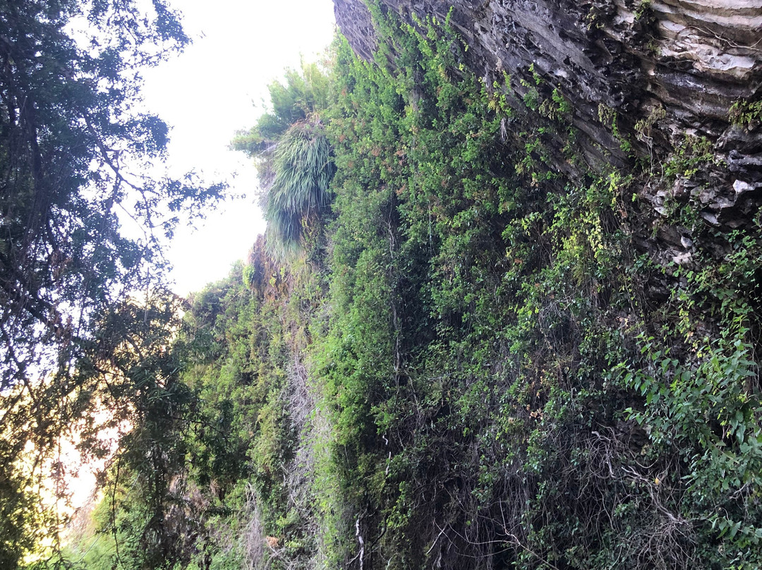 Cueva de Los Pincheira景点图片