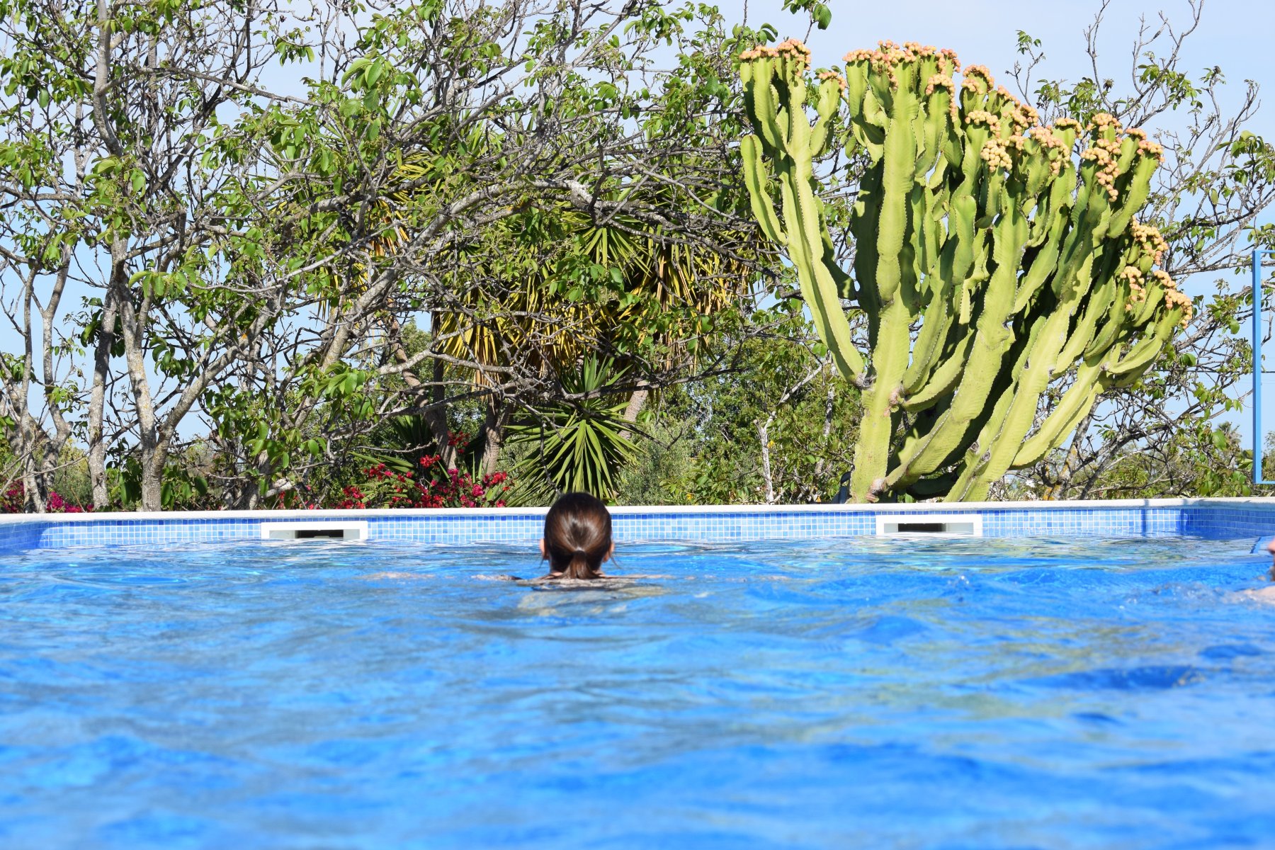 Quinta Vestia-泳池