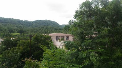 The Maharana Bagh主图