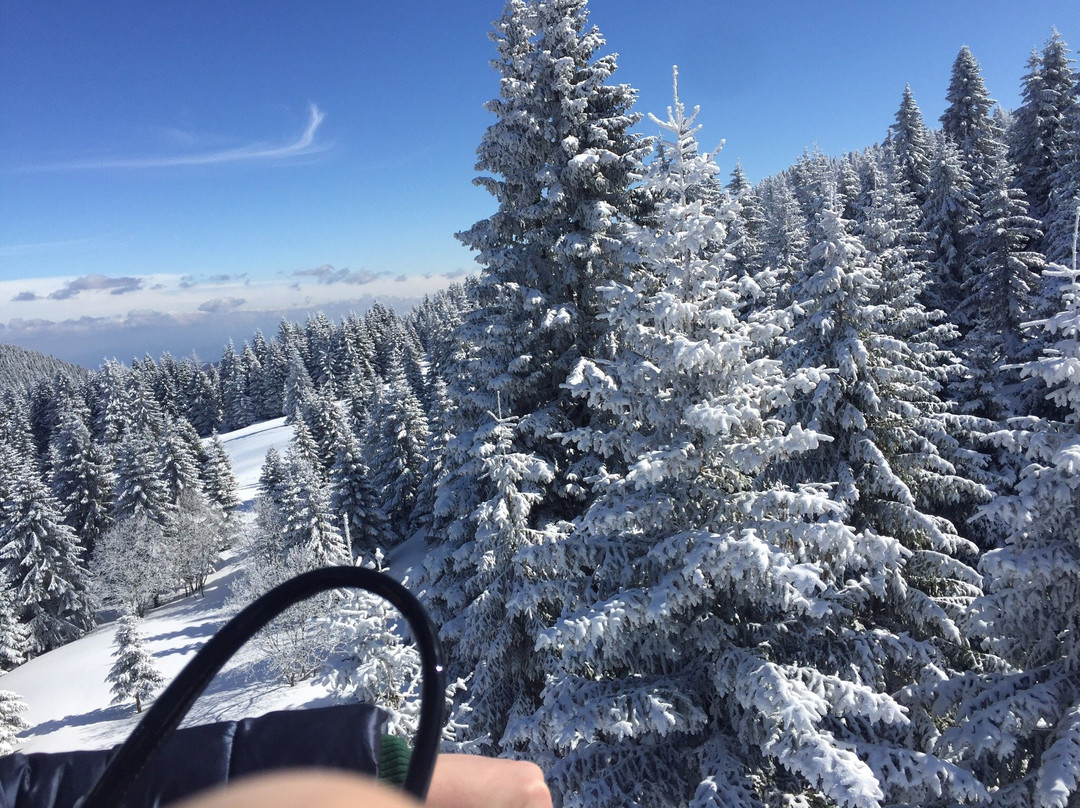 Kopaonik National Park-科帕奥尼克必去景点