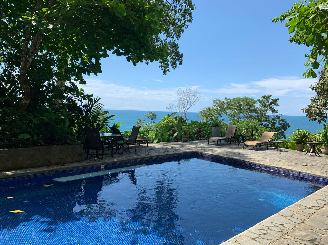 La Paloma Lodge Drake Bay主图