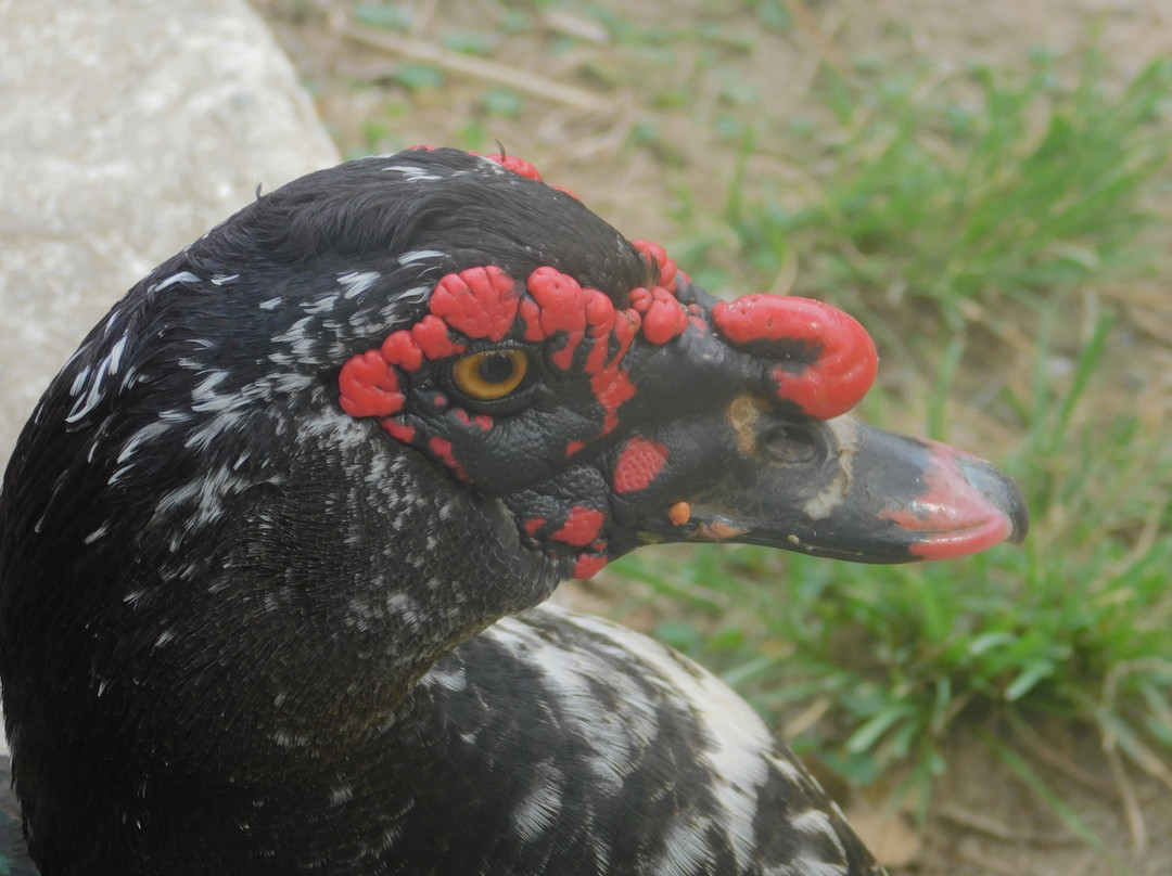 Vida Park-亚美尼亚必去景点