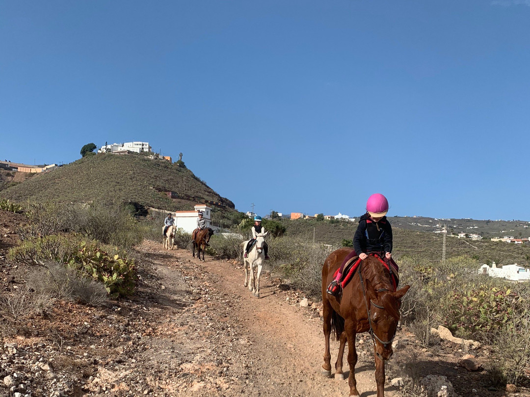 Horse Riding Tenerife-阿罗纳必去景点