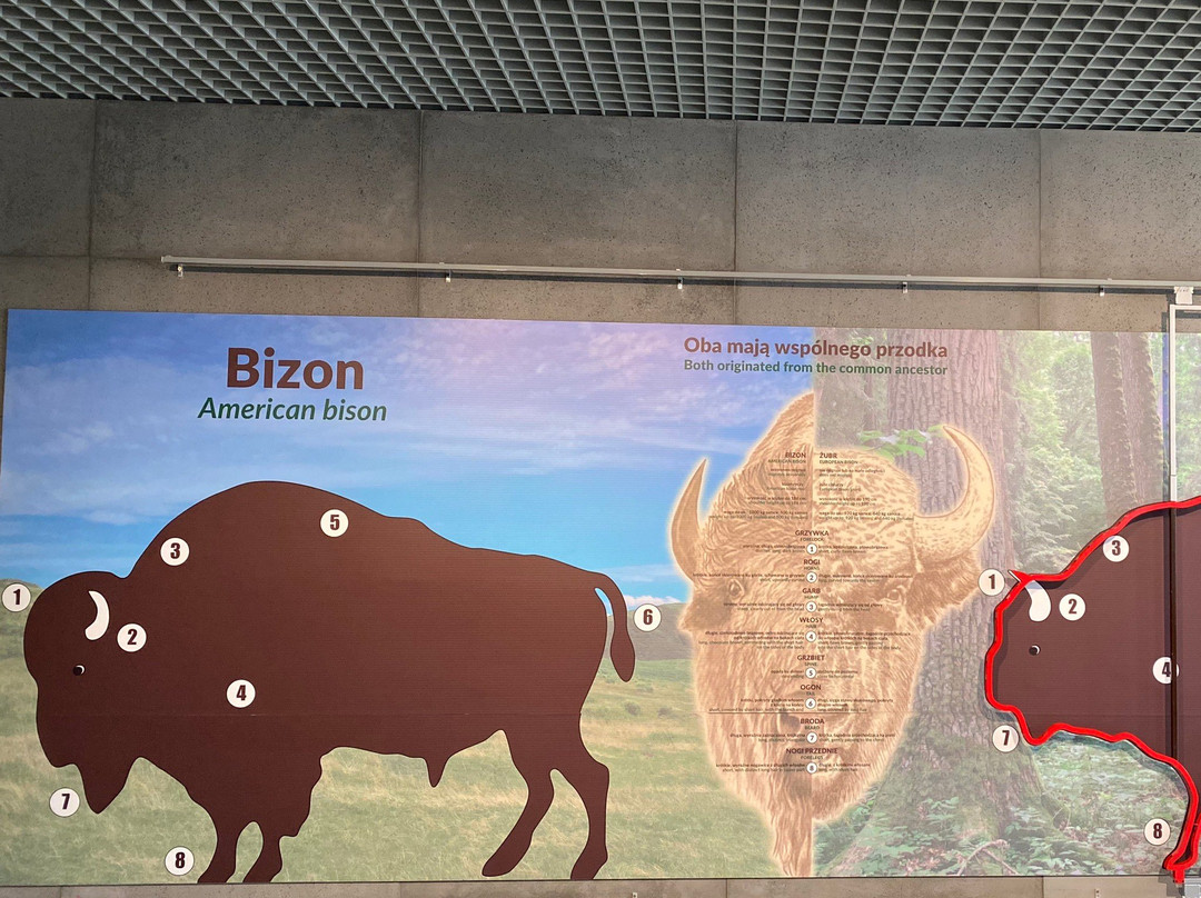 European Bison Reservation景点图片