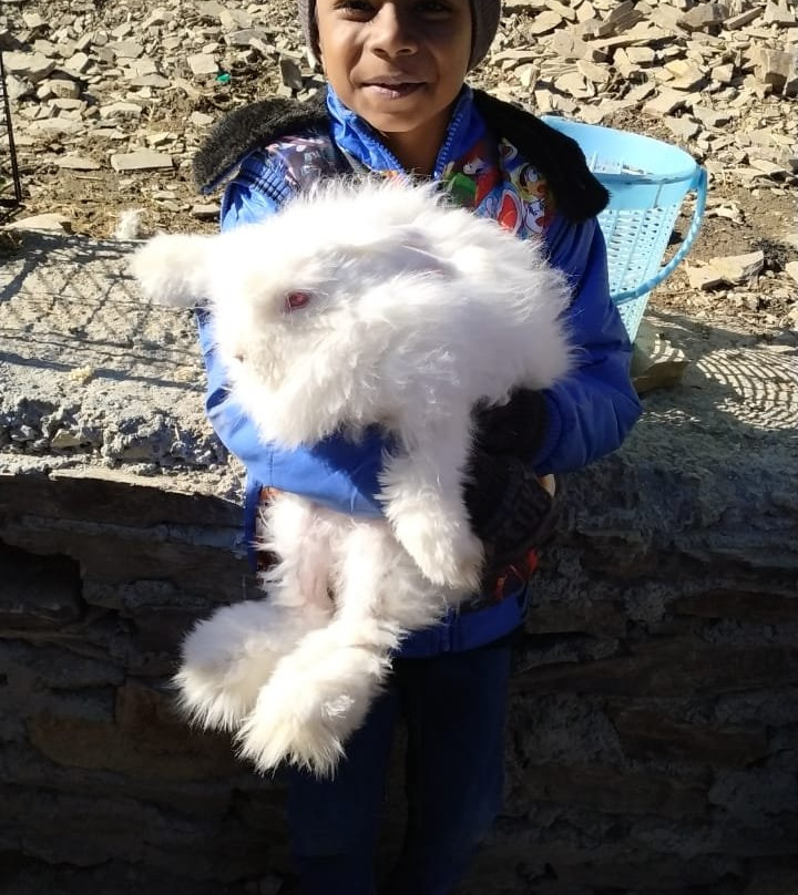 Indian Travel Online-新德里必去景点