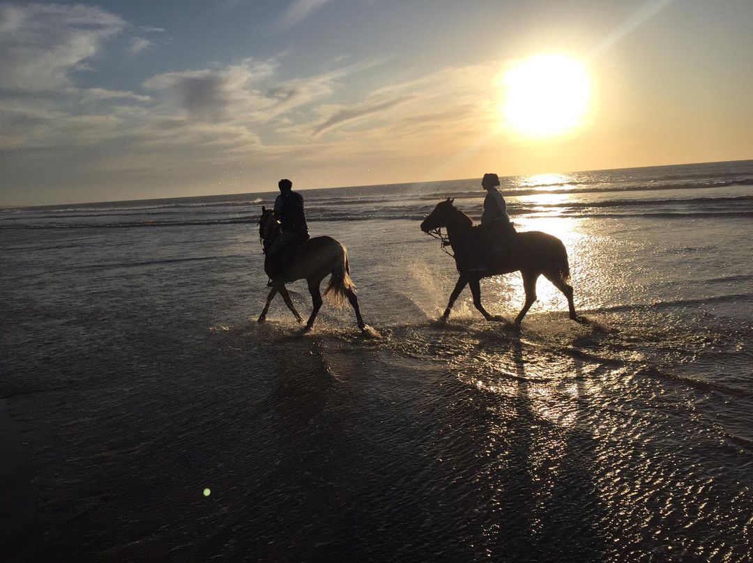 Ranch Aftass-索维拉必去景点