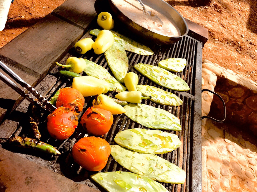 Talpa & Mascota Tour-瓦拉塔港必去景点