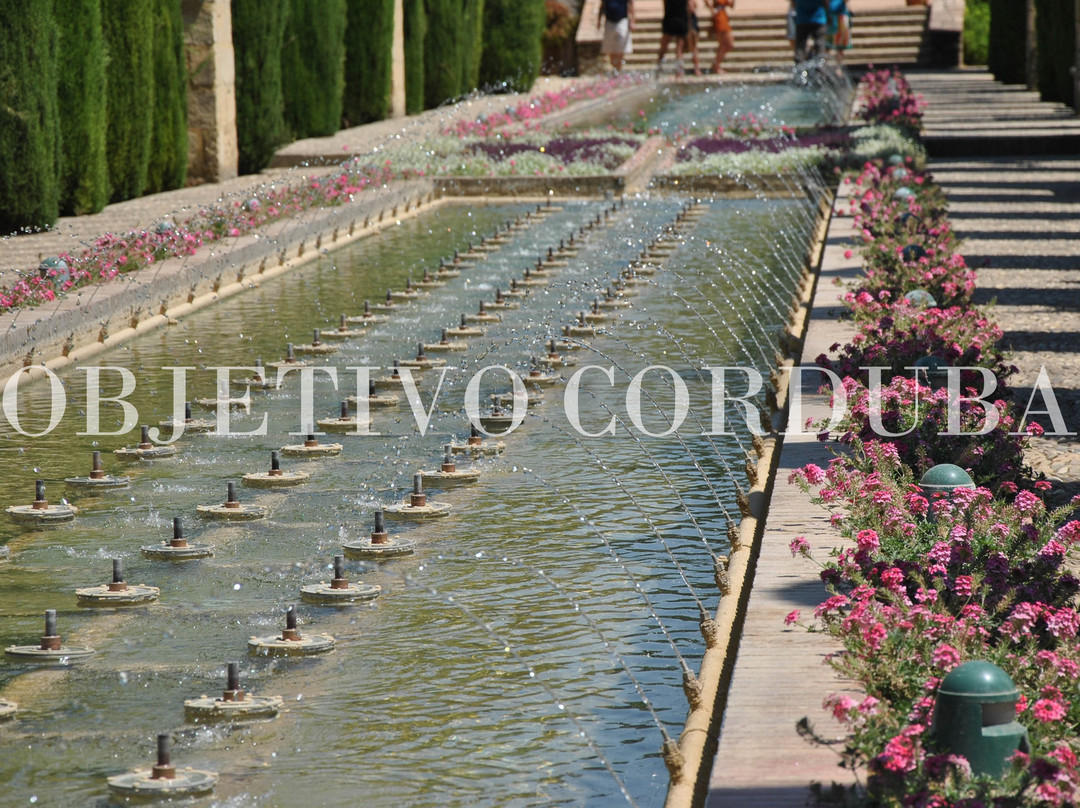 Tiered Gardens of The Alcazaba景点图片