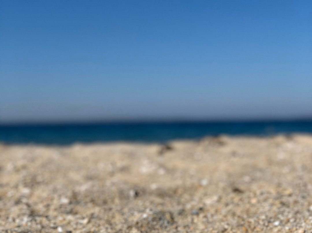 Foster Memorial Beach-Sag Harbor必去景点