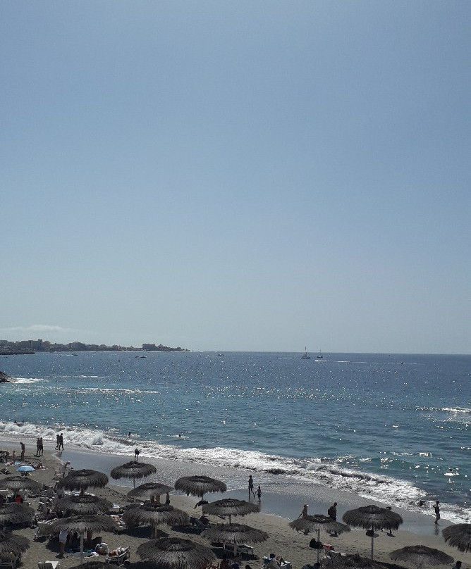 Playa del Duque景点图片