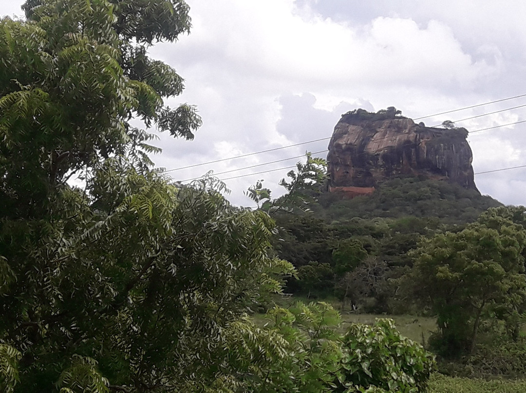 Visit Kalpitiya Tours & Holidays景点图片
