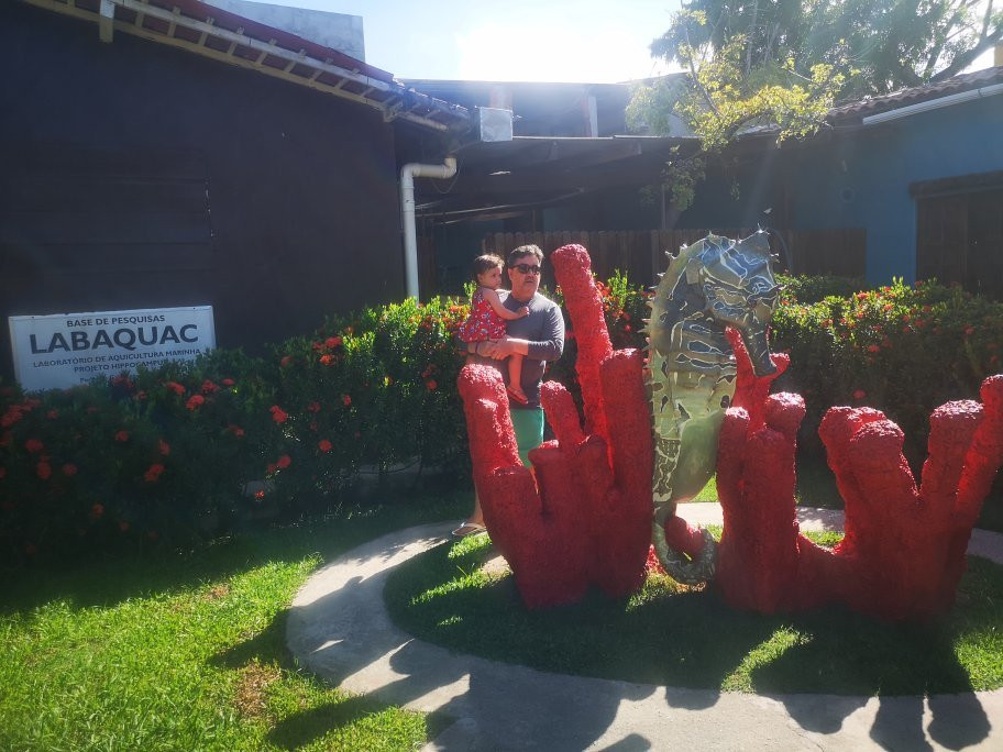 Projeto Hippocampus-嘎林海斯港必去景点