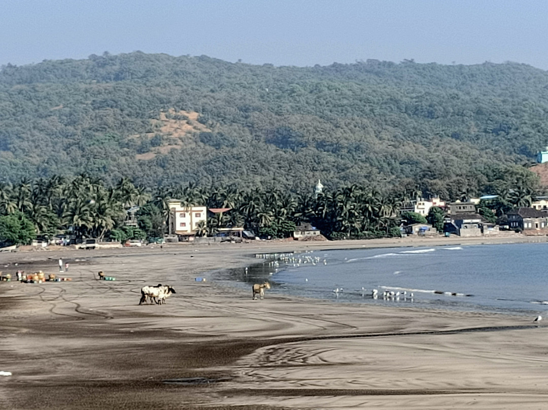 Harnai Beach景点图片