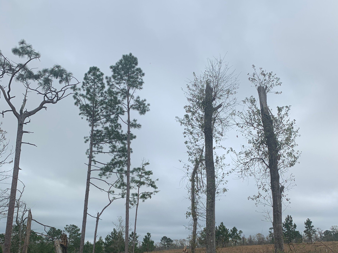 Three Rivers State Park-Sneads必去景点