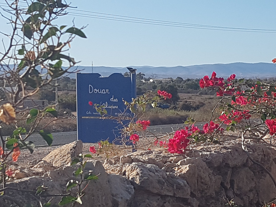 Douar Des Oliviers主图