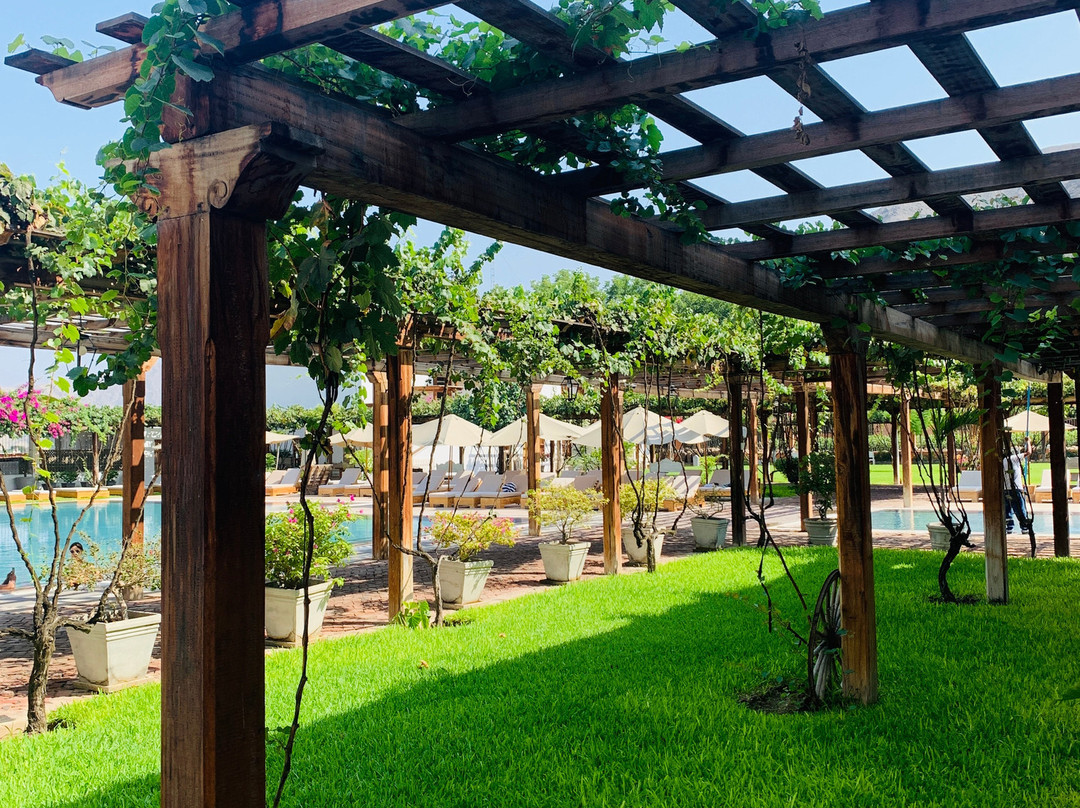 Hotel Viñas Queirolo主图