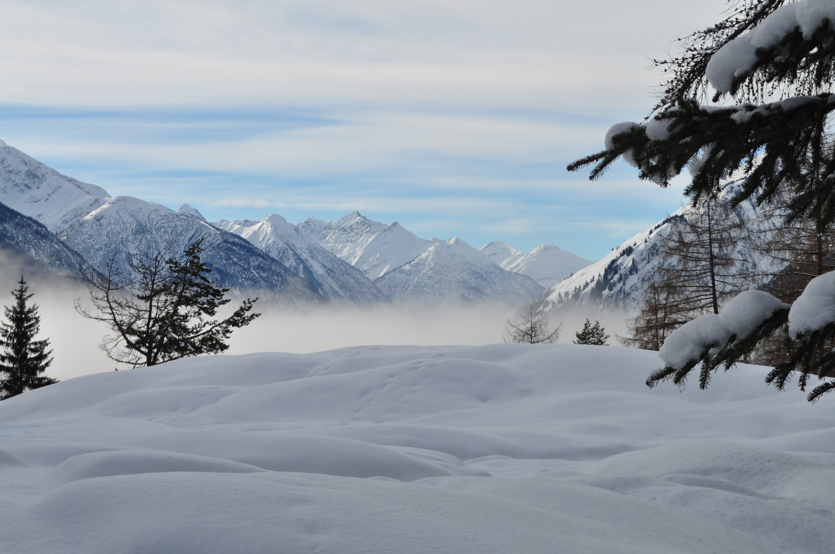 Gasthof Hochvogel-官方